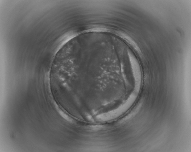 X0000115041425200911091355