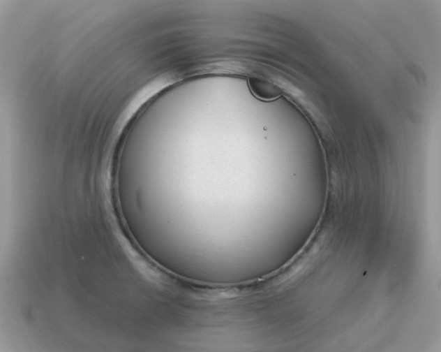 X0000115041426200911091355