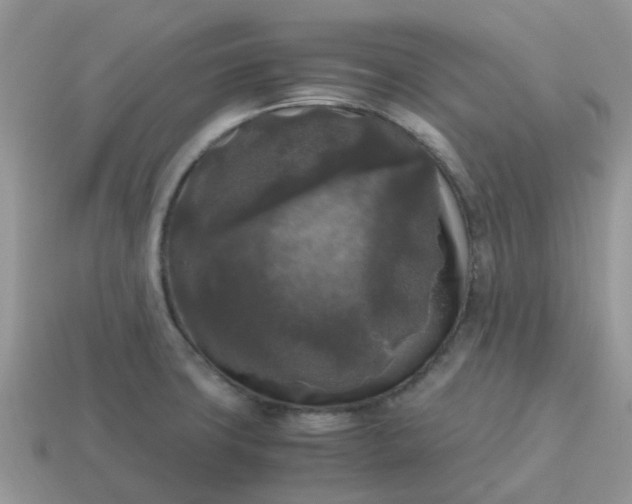 X0000115041427200911091355