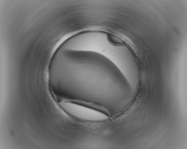 X0000115041428200911091355