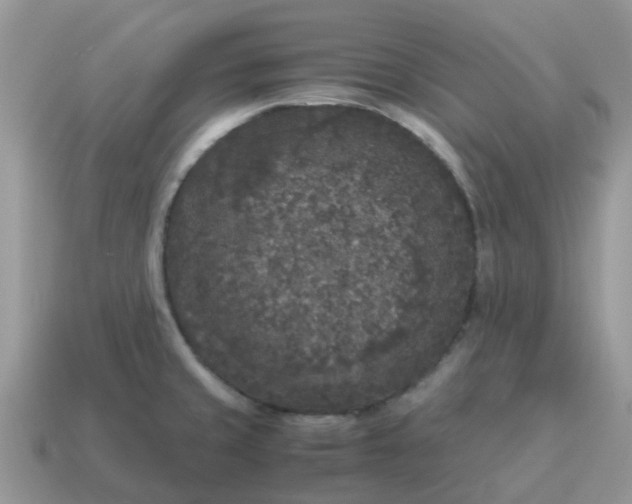 X0000115041429200911091355