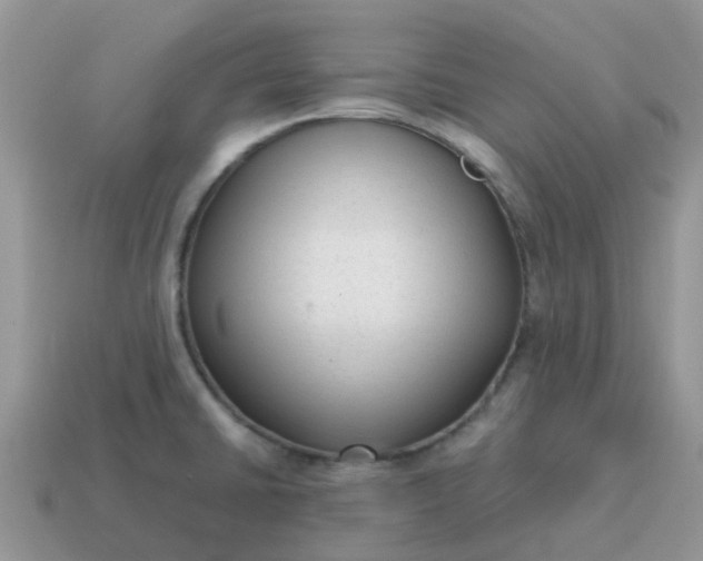 X0000115041430200911091355