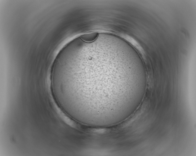 X0000115041431200911091355
