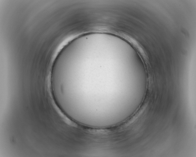 X0000115041432200911091355