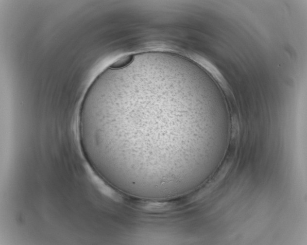 X0000115041439200911091355