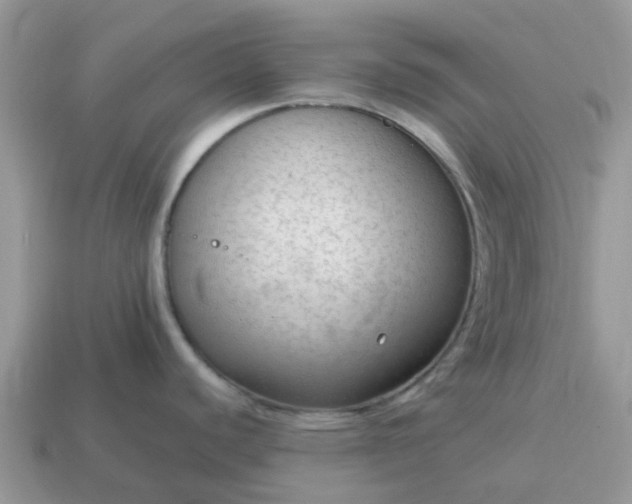 X0000115041440200911091355