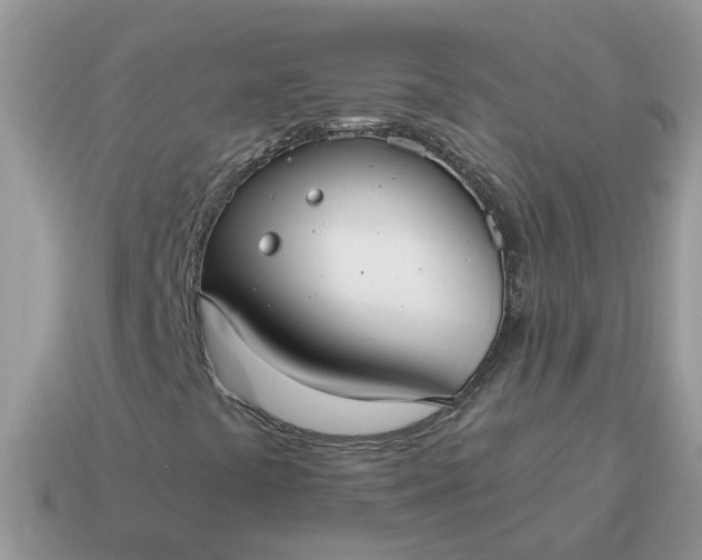 X0000115041441200911091355