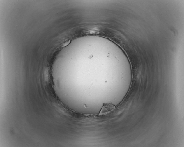 X0000115041442200911091355