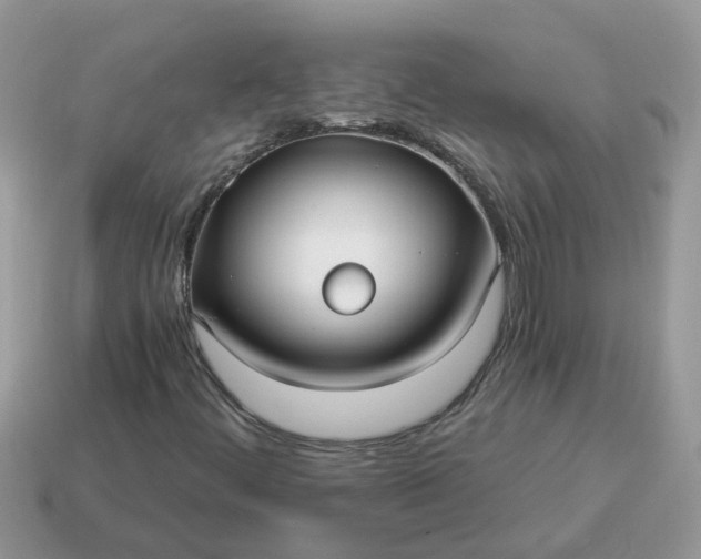 X0000115041444200911091355