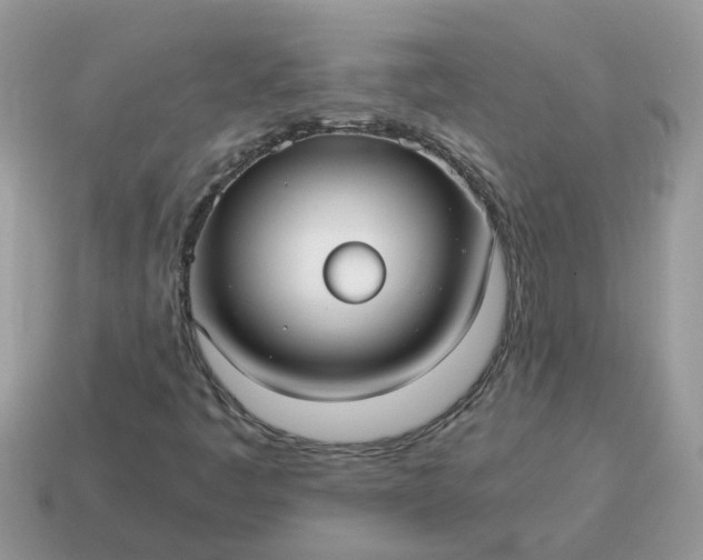 X0000115041445200911091354