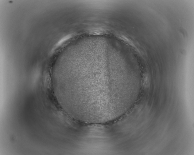 X0000115041446200911091354