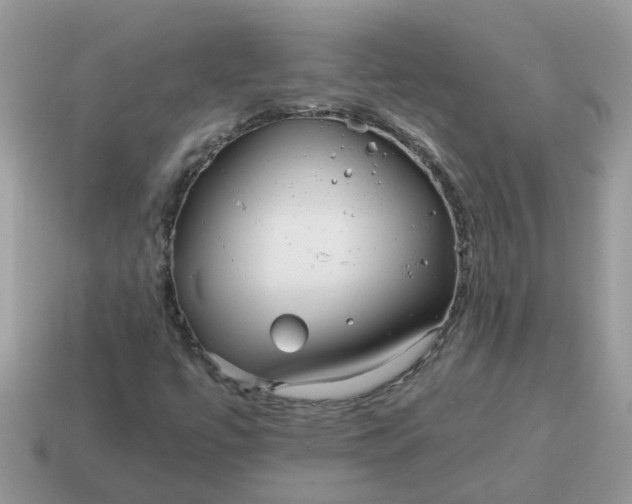 X0000115041447200911091354