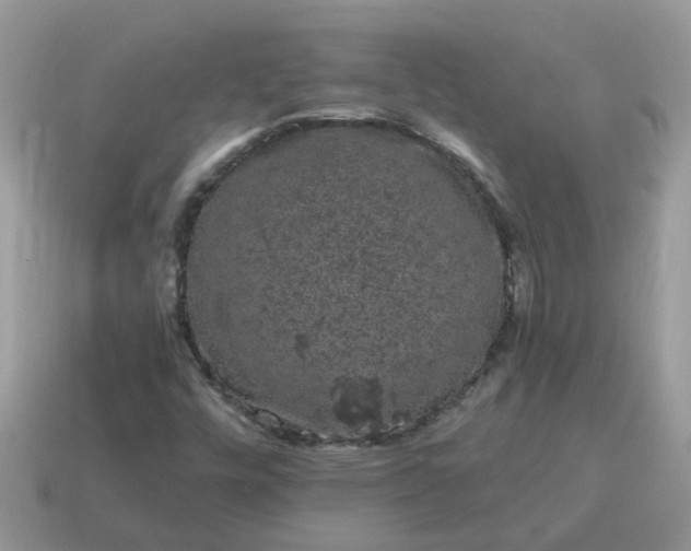 X0000115041448200911091354