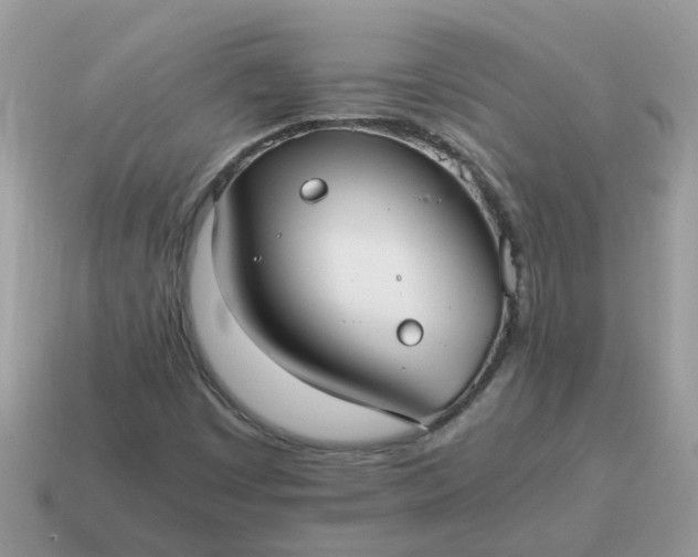 X0000115041449200911091354