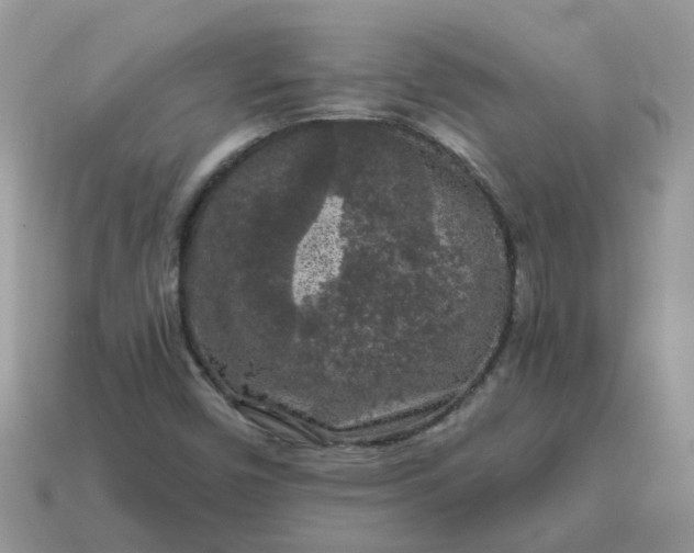 X0000115041450200911091354