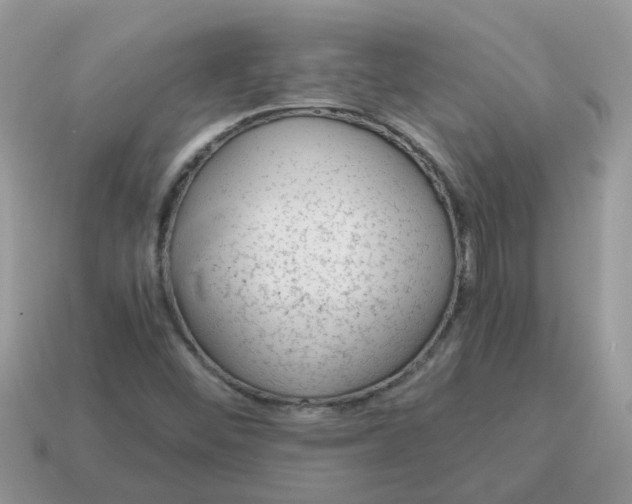 X0000115041452200911091354