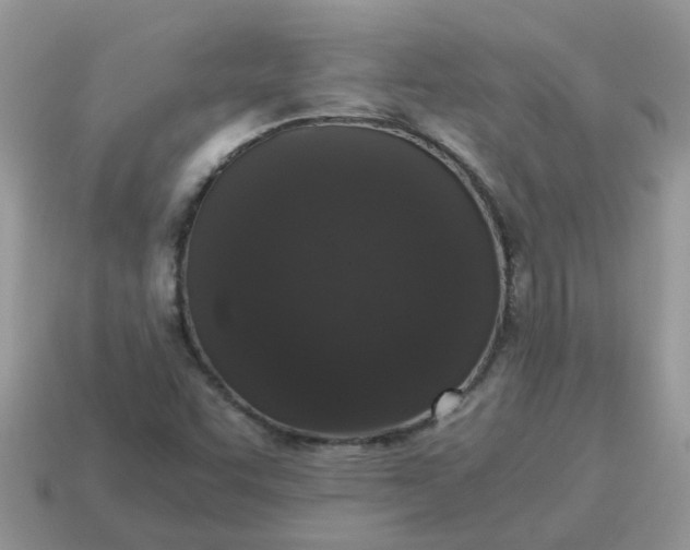 X0000115041455200911091354