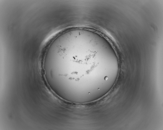 X0000115041456200911091354