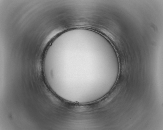X0000115041458200911091354