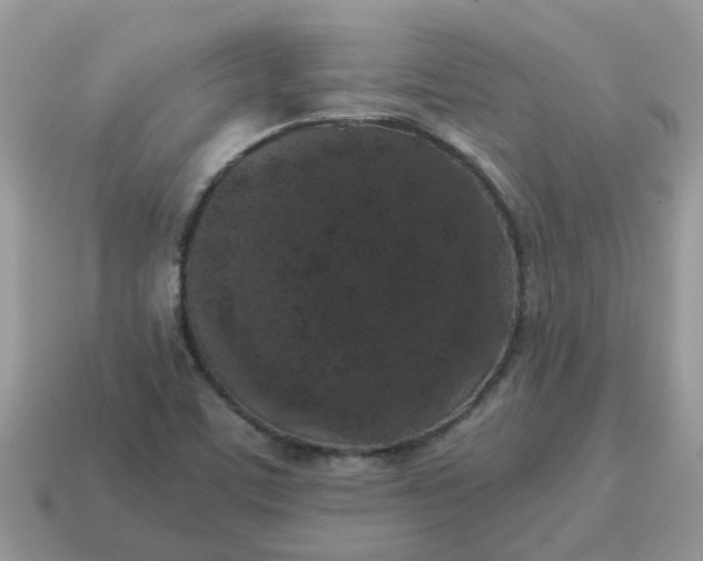 X0000115041459200911091354