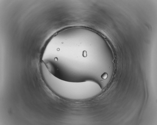 X0000115041460200911091354