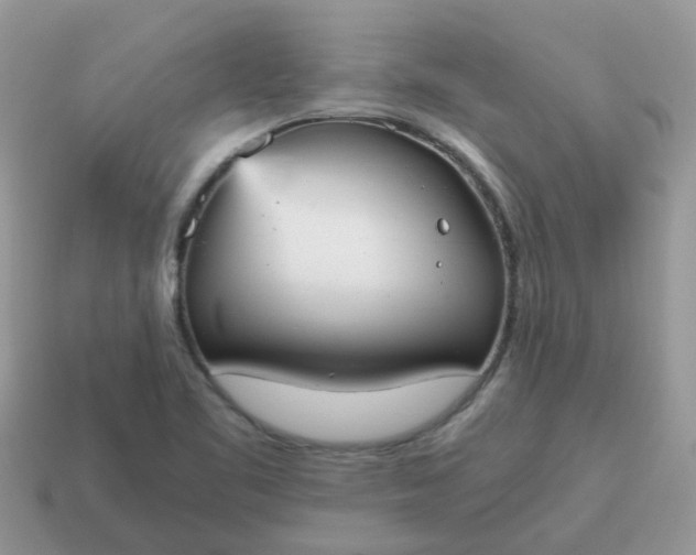 X0000115041461200911091354