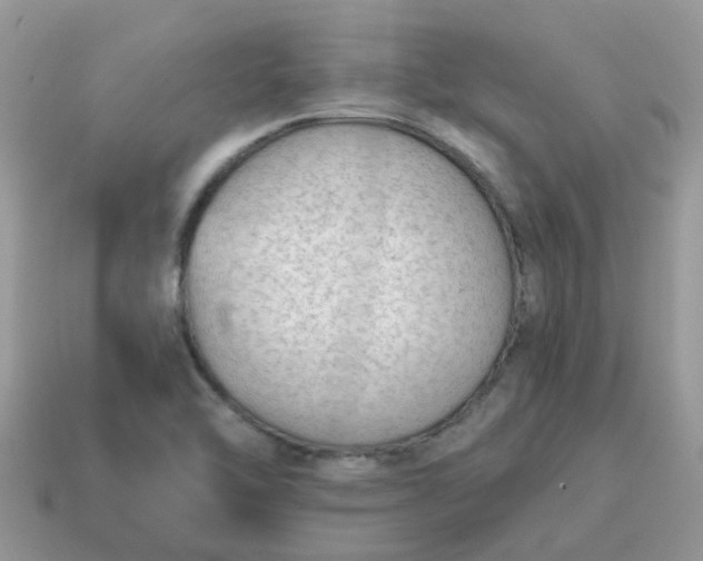 X0000115041462200911091354