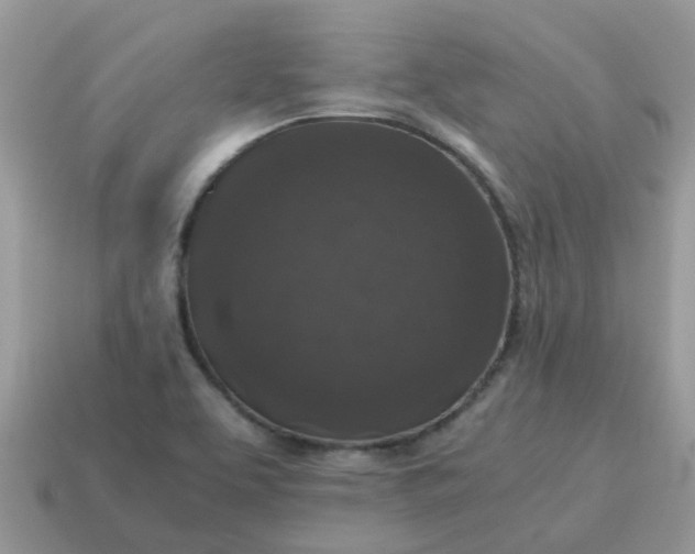 X0000115041463200911091354