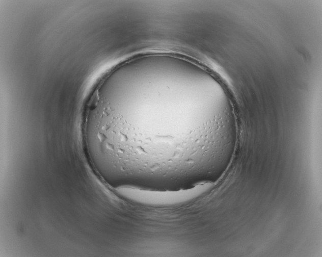 X0000115041464200911091354