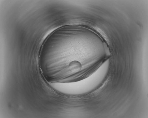 X0000115041465200911091354