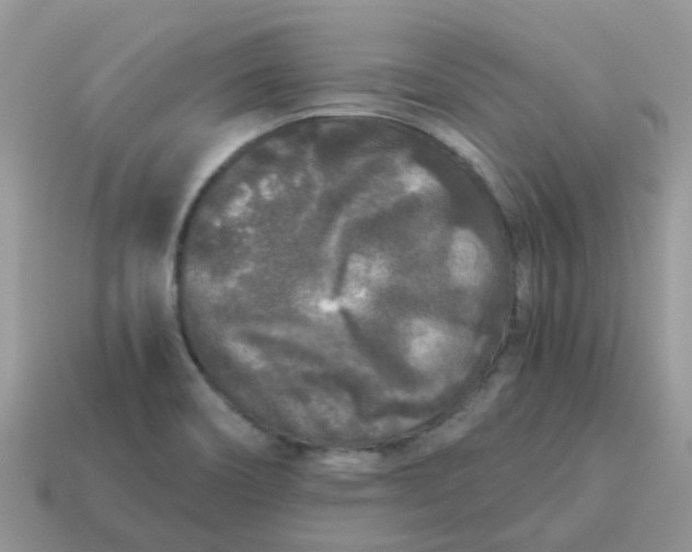 X0000115041466200911091354