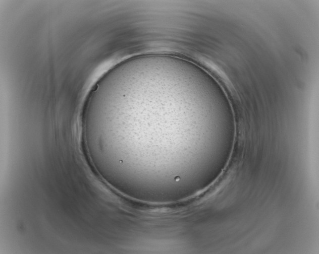 X0000115041467200911091354