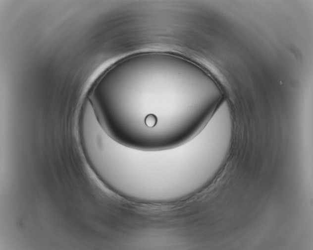X0000115041468200911091354