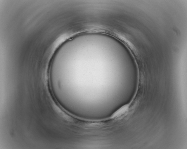 X0000115041471200911091354