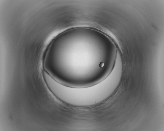 X0000115041472200911091354