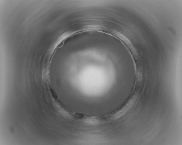 X0000115041473200911091354