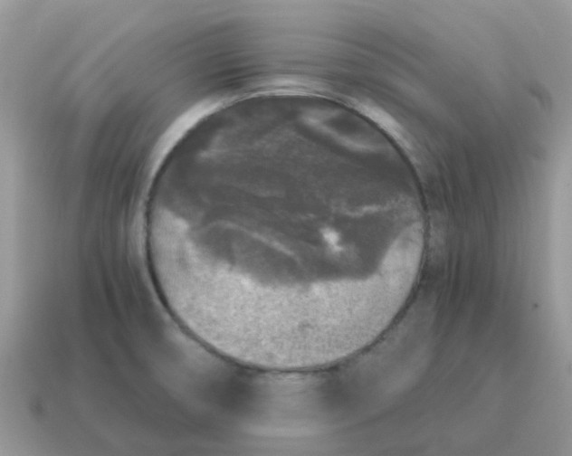 X0000115041474200911091354
