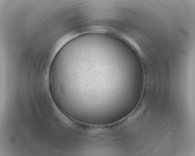 X0000115041475200911091354