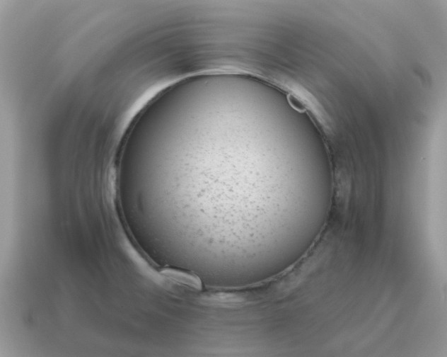 X0000115041476200911091354