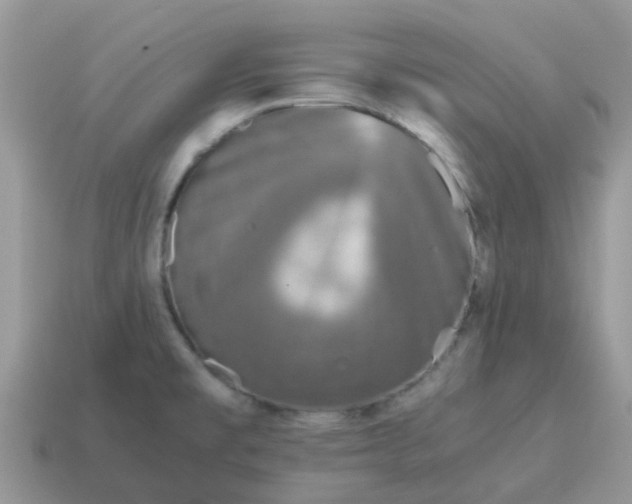X0000115041477200911091354