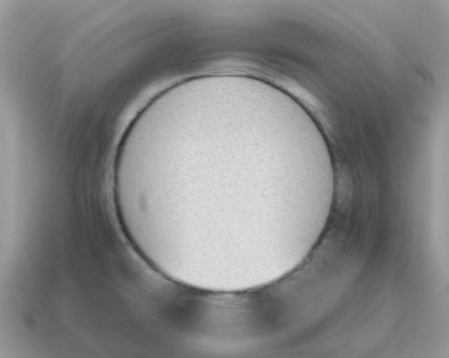 X0000115041478200911091354