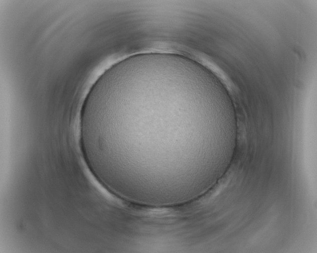 X0000115041479200911091354