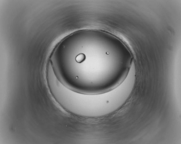 X0000115041480200911091354