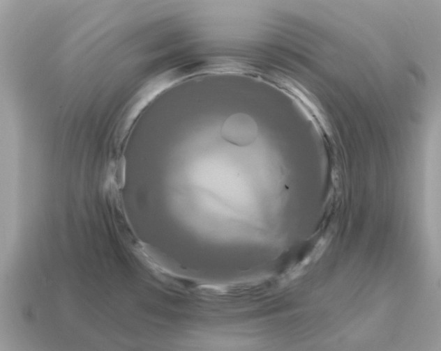 X0000115041481200911091354