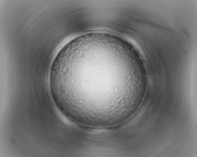 X0000115041482200911091354
