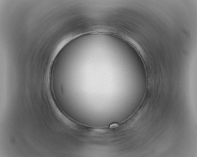 X0000115041483200911091354