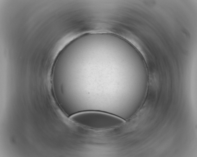 X0000115041485200911091354