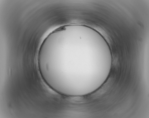 X0000115041486200911091354