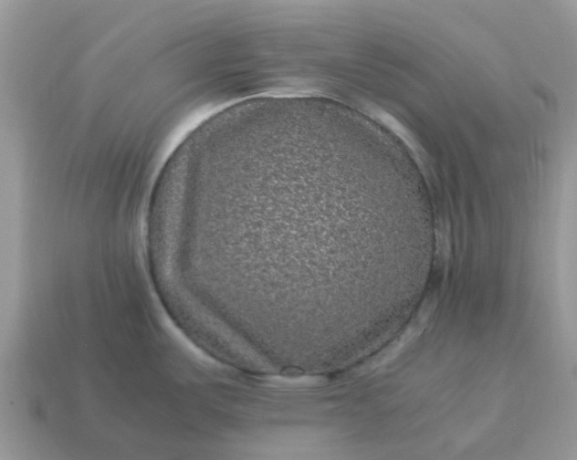 X0000115041487200911091354