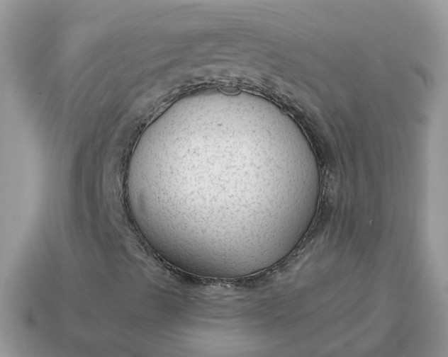 X0000115041489200911091353